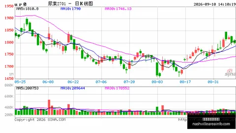 2026最新对决解析：西班牙女篮迎战美国女篮数据分析